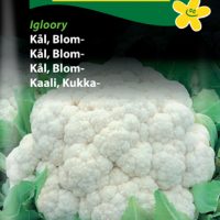 Blomkål - Igloory