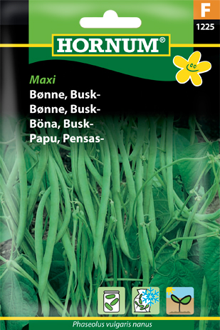 Buskbønne Maxi
