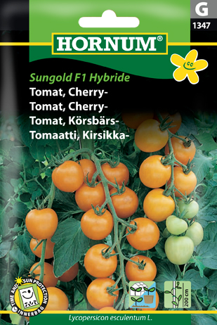 cherrytomat sungold f1 hybride