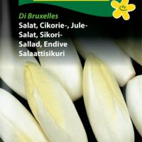Cikoriesalat - Julesalat - Di Bruxelles