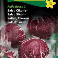 Cikoriesalat - Palla Rossa 2 - Radicchiosalat