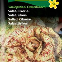 Cikoriesalat - Variegata di Castelfranco