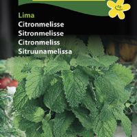 Citronmelisse - Lima