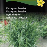 Estragon - Russisk