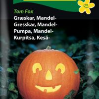 Halloweengræskar Tom Fox