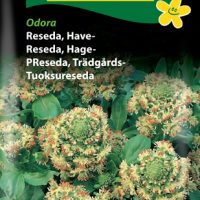 Havereseda - Odora