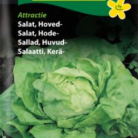 Hovedsalat Attractie