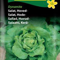 Hovedsalat Dynamite
