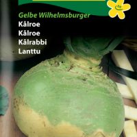 Kålroe - Gelbe Wilhelmsburger