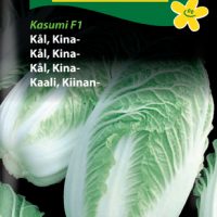 Kinakål - Hilton F1