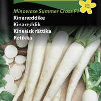 Kinaræddike - Minowase summer cross F1