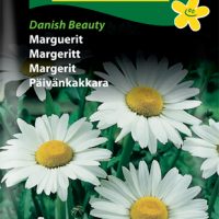 Marguerit - Danish Beauty