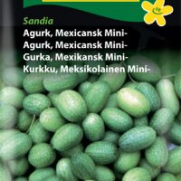 Mexicansk miniagurk Sandia