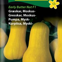 Moskus græskar - Early butter NutF1
