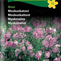 Moskuskatost - Rosa