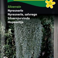Nyresnerle - silverrain