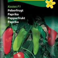 Peberfrugt Kostas F1
