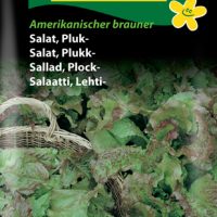 Pluksalat - Amerikanischer brauner