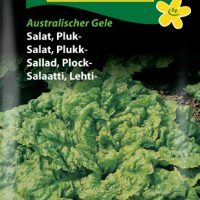 Pluksalat - australischer Gele
