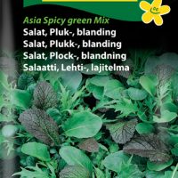 Pluksalatblanding, asia Spicy green mix