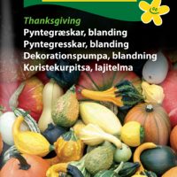 Pyntegræskarblanding - Thanksgiving