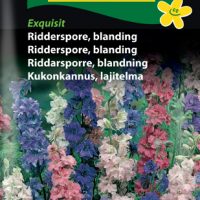 Ridderspore - blanding - Exquisit