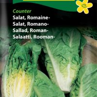 Romainesalat - Counter