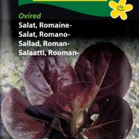 Romainesalat - ovired