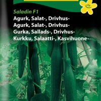 Salatagurk Drivhus Saladin F1