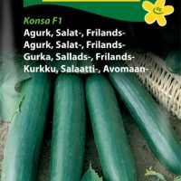 Salatagurk frilands Konsa F1