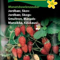 Skovjordbær - Monatsbowlenzauber