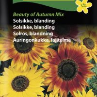 Solsikkeblanding - Beauty of Autumm mix