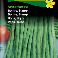 Stangbønne - Neckarkönigin