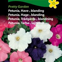 petunia pretty garden