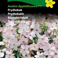 prydtobak avalon appleblossom f1
