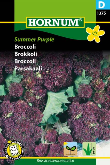 broccoli summer purple
