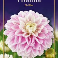 fluffles