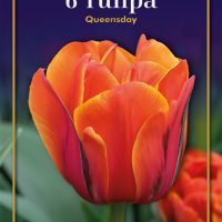 queensday